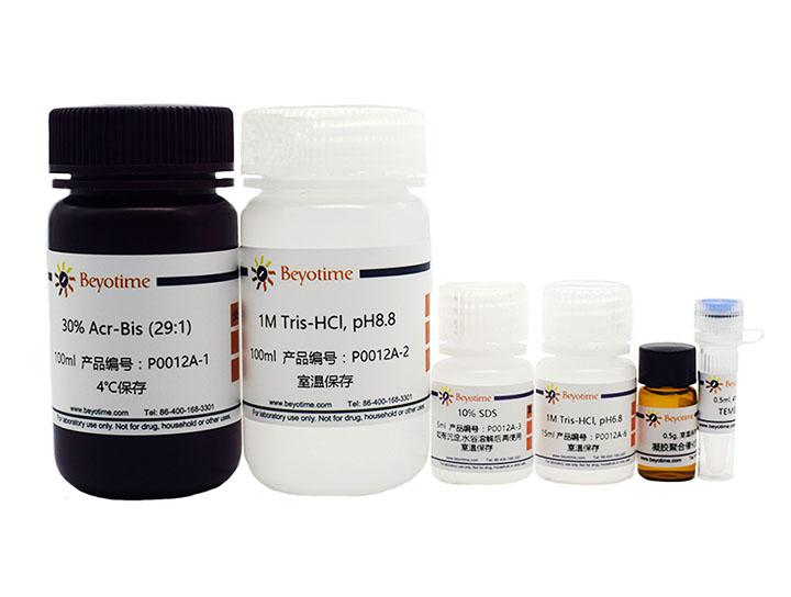 SDS-PAGE凝胶配制试剂盒